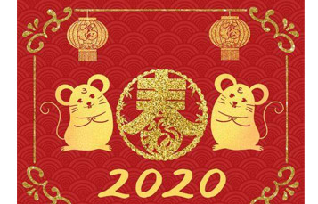 The Spring Festival is Coming.